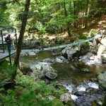 Brücke Büchlberg klein