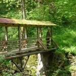 Holzsteg Büchlberg klein