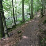 Waldweg Büchlberg klein