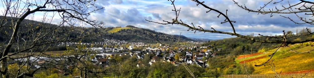 Schwäbischer Albverein | Ortsgruppe Remshalden