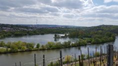 blick-auf-max-eyth-see