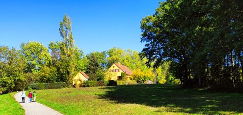 IMG20221009121818 (2)