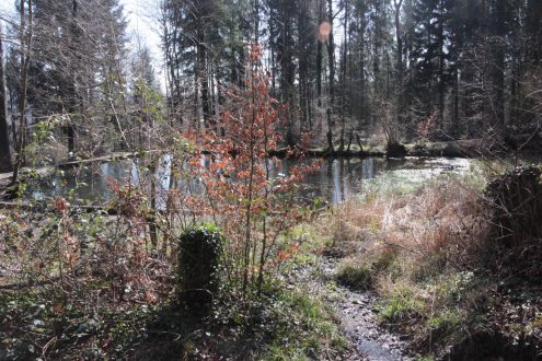 15_Schornbacher Himmelsweg_3_b