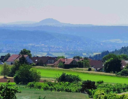 01_IMG20230602105558