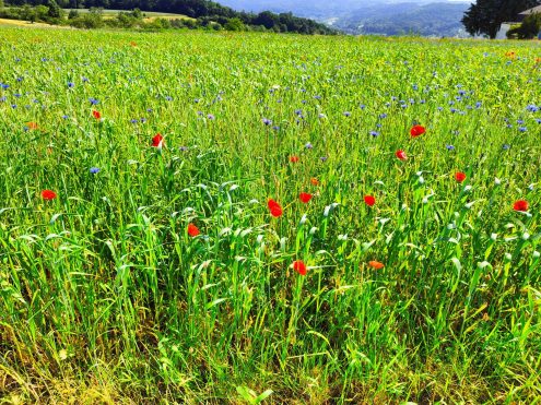 02_IMG20230602104443