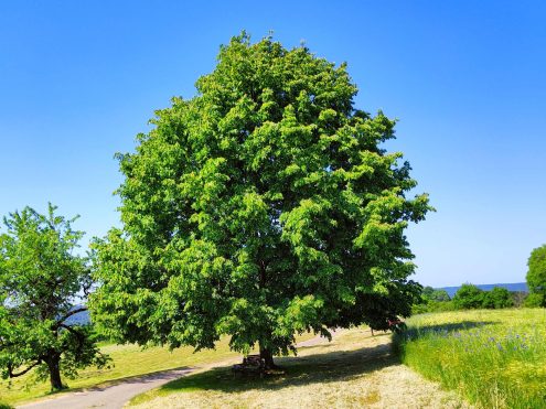 04_IMG20230602110340