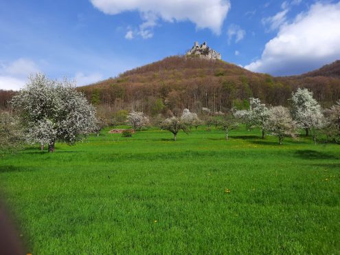 Burgruine Reussenstein-2